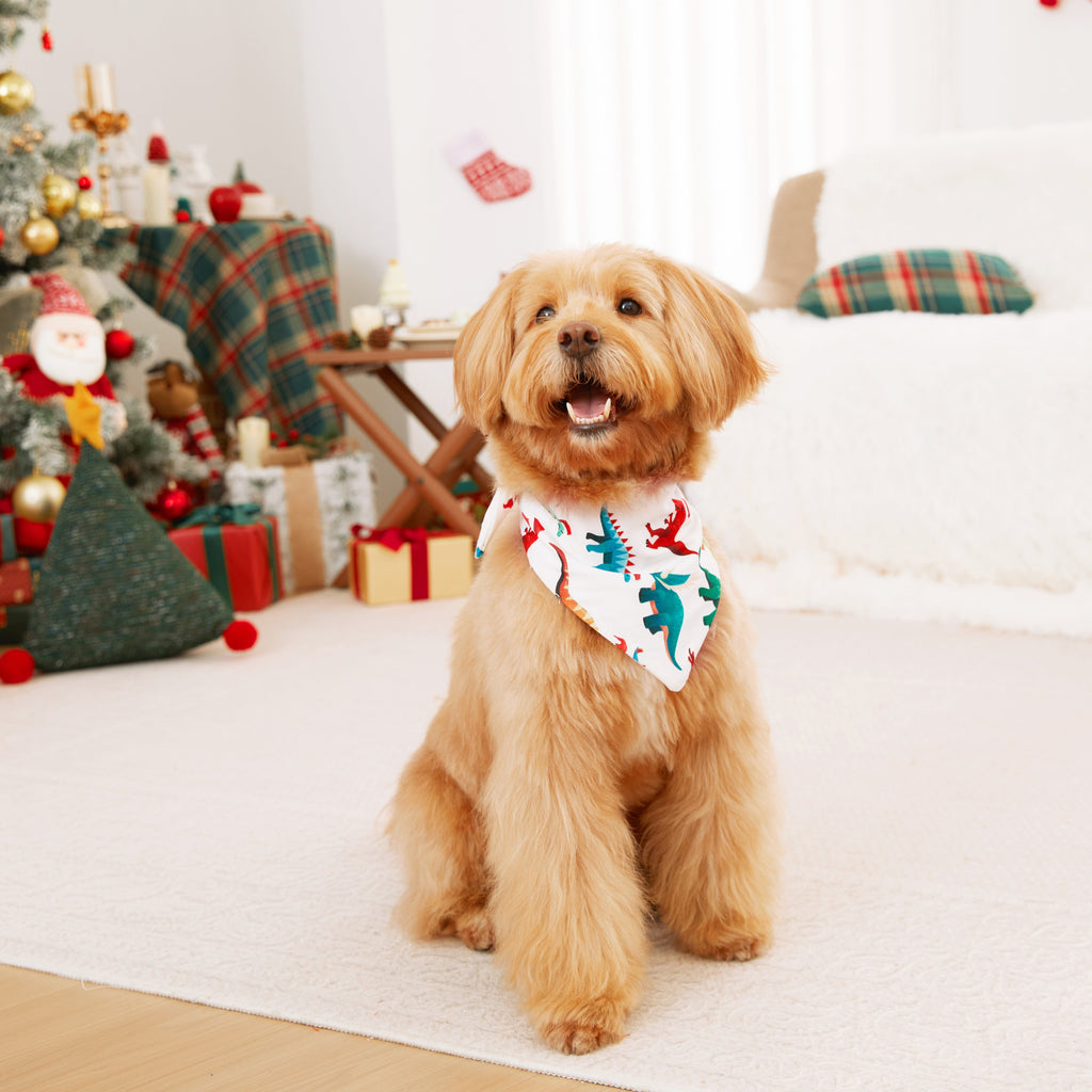 Christmas Matching Family Pajamas Dog Pajamas One Piece Long Sleeve Pjs for Baby Kids Adult Pet Clothes