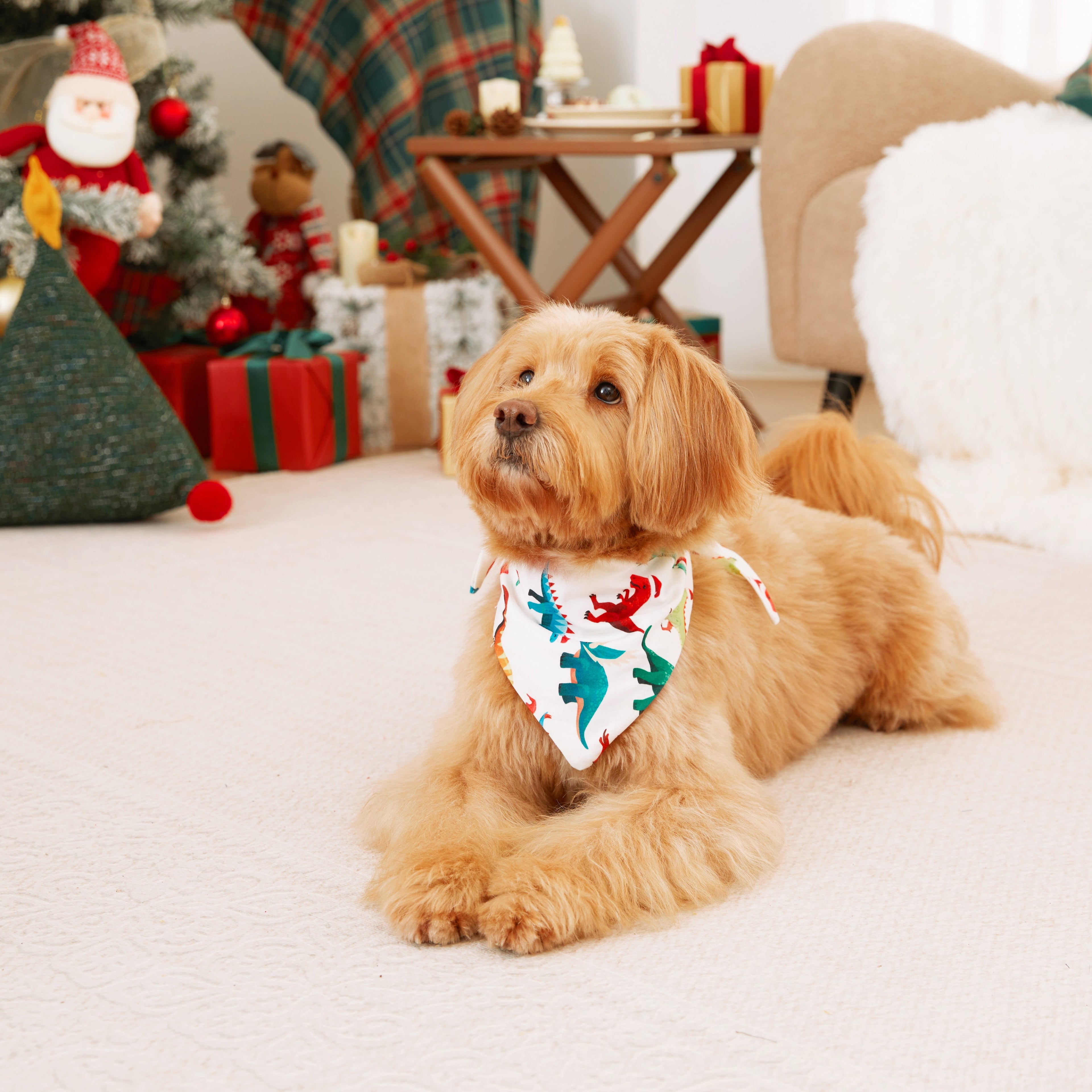 Christmas Matching Family Pajamas Dog Pajamas One Piece Long Sleeve Pjs for Baby Kids Adult Pet Clothes